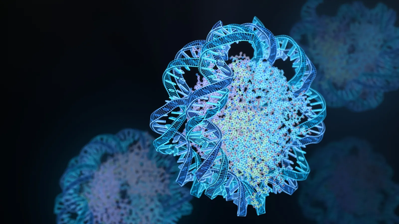 The study shows that chaperone proteins regulate how the linker histone H1 protein finds and loads onto its target nucleosome, the molecule illustrated above.